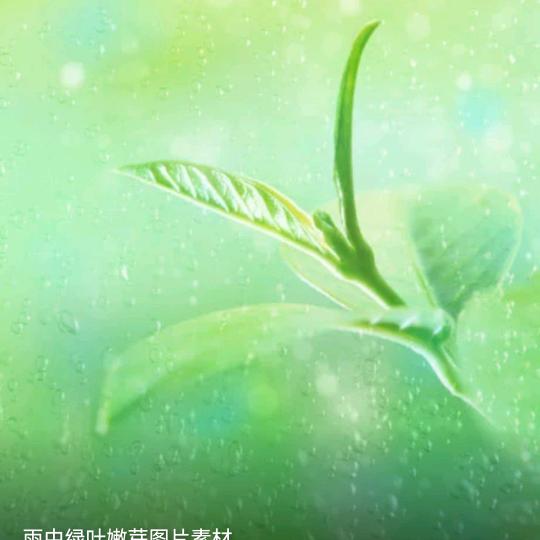 一杯清茶🍎🍓🍒