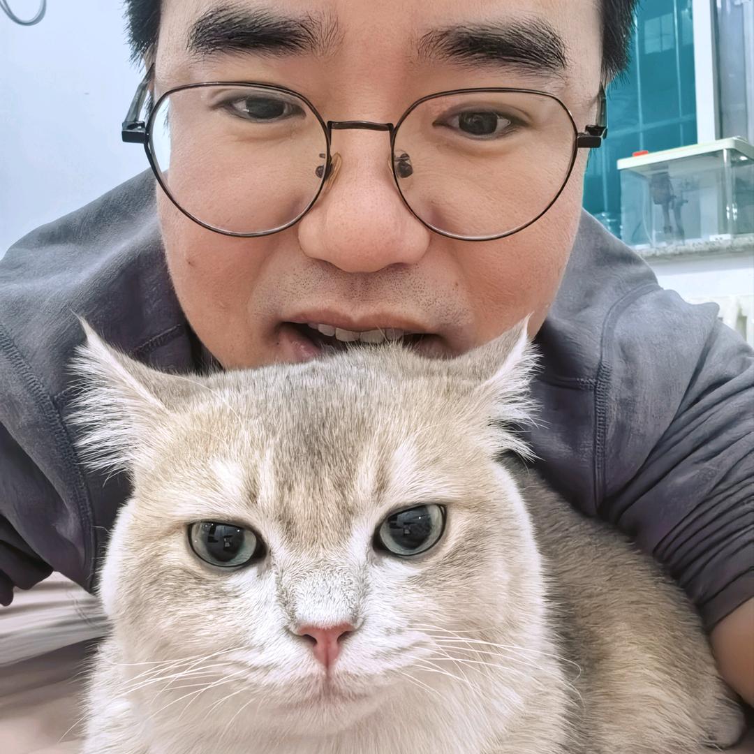 阿毛