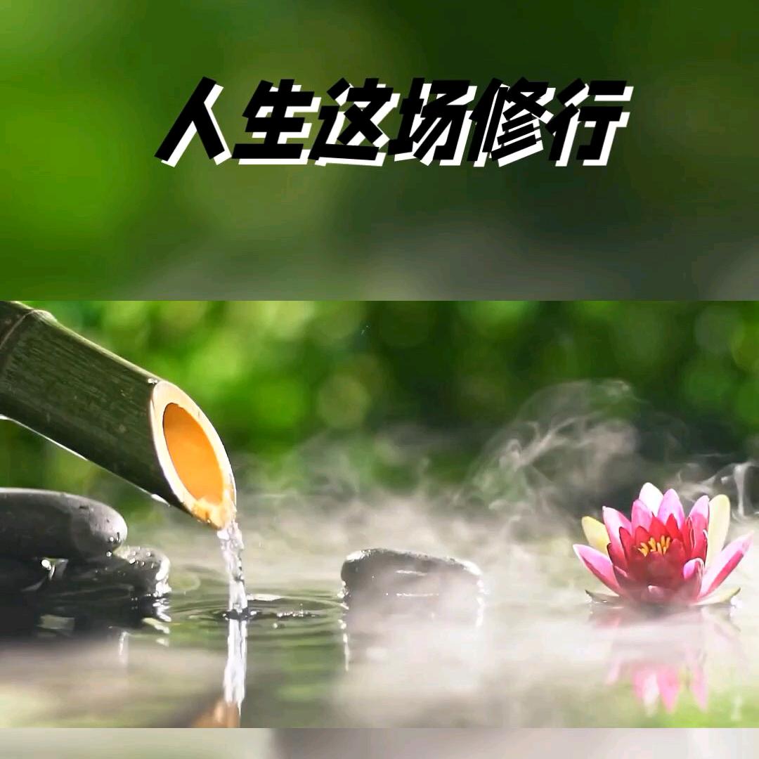 指东人生修炼