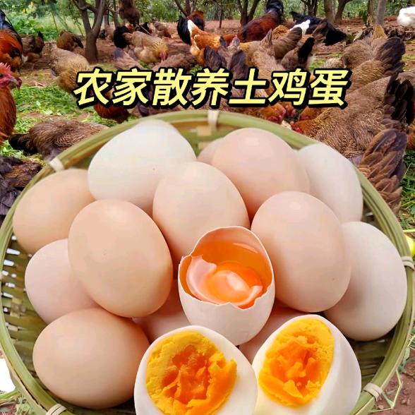 优质甄选推荐