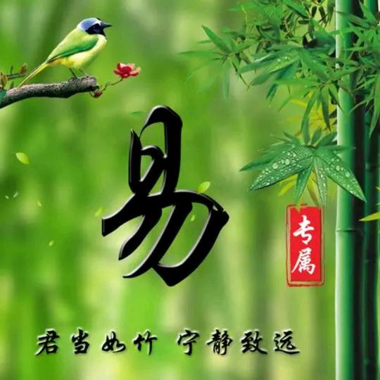 易少
