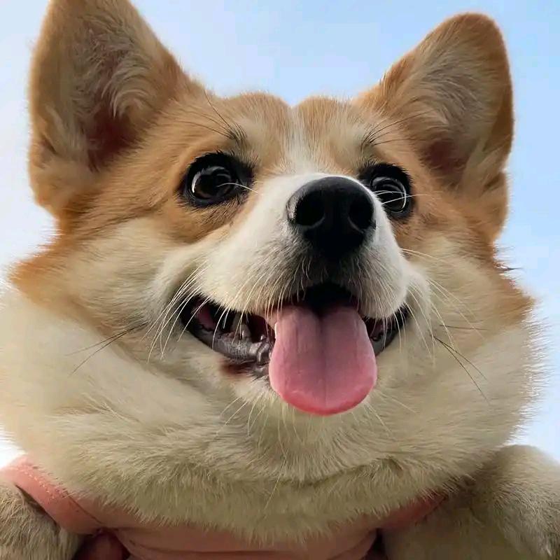 白时
