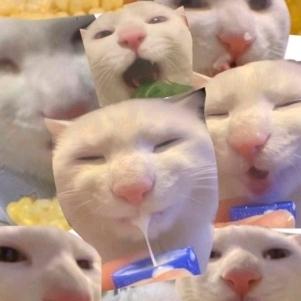 天生是欧皇