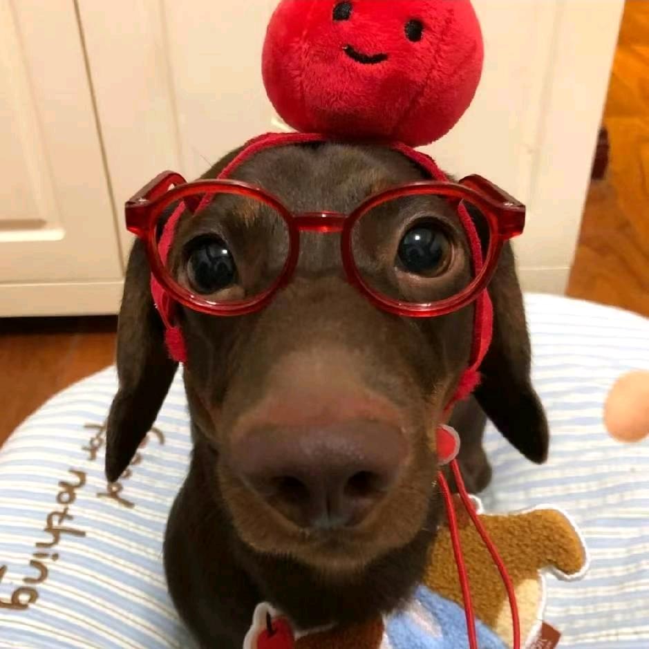 @女 子（锦鲤附体版）