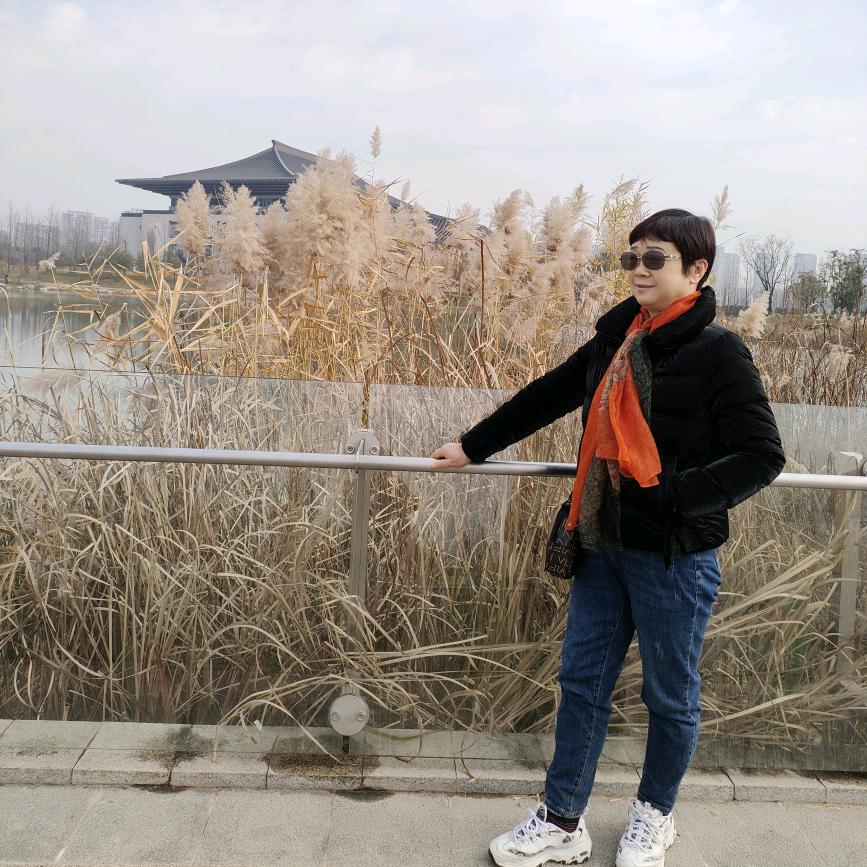 鑫美书单