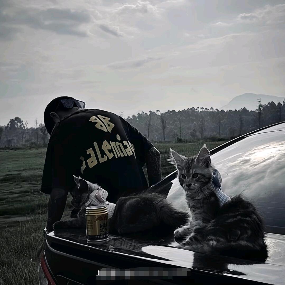 てんちょう 田𝓽𝓲𝓪𝓷 ᥫᩣ