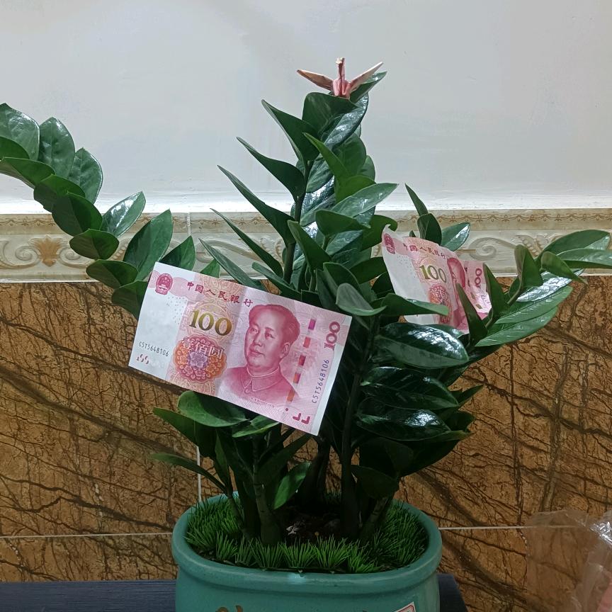 （江）jiang就一下