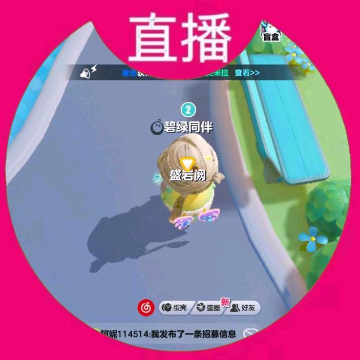 盛蕨菜（蛋仔主播）