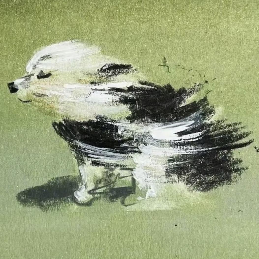 像风一样