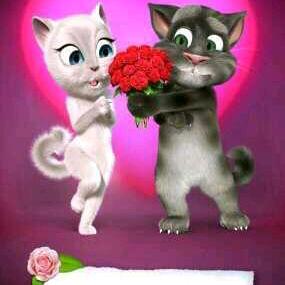 相遇相知有缘相遇