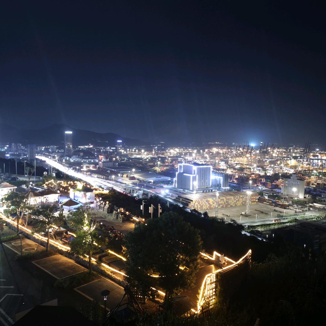 进击的妙蛙种子