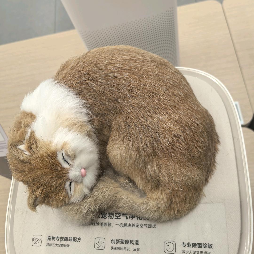 冲浪达人