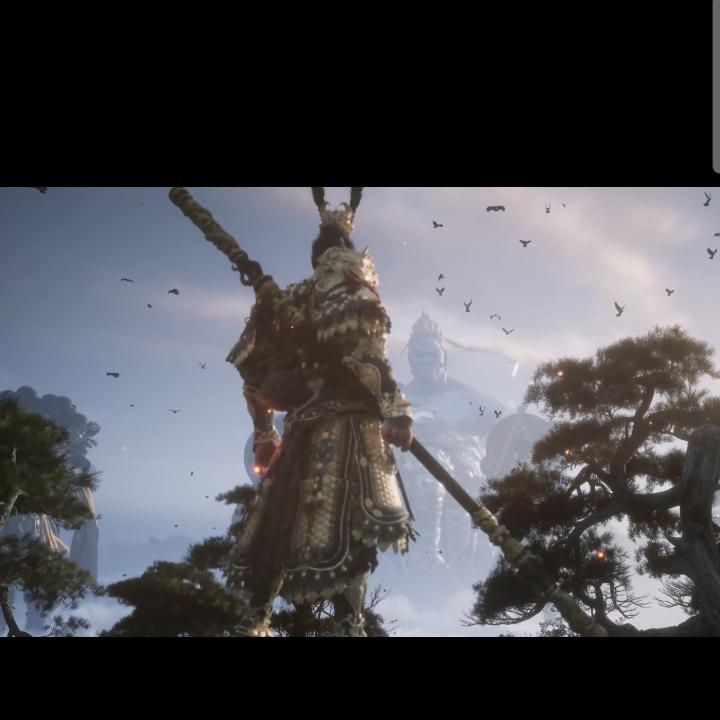 主宰