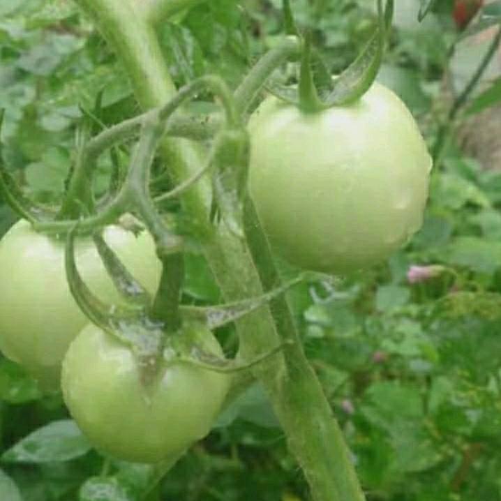 一醉解千愁