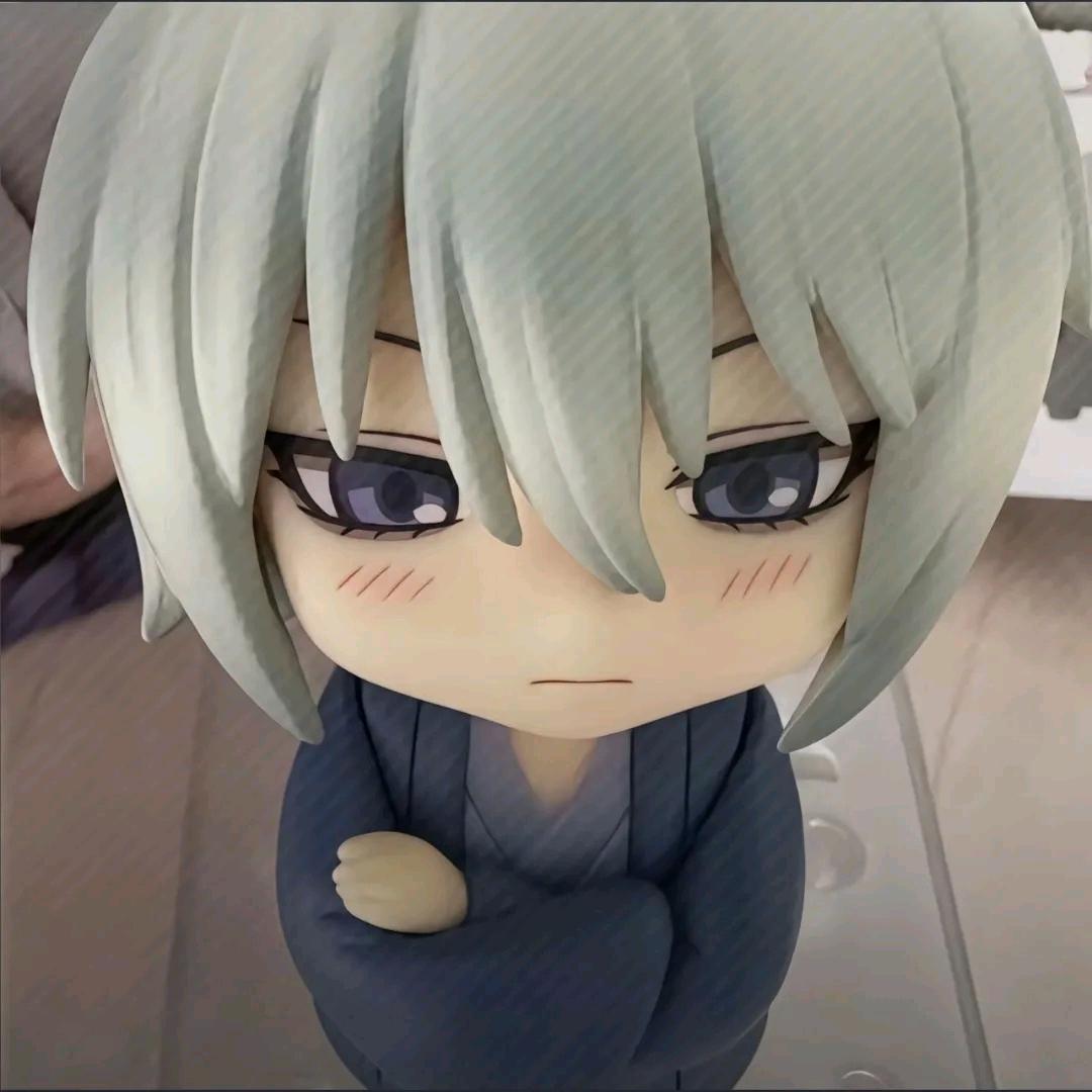 从来不穿苦茶子