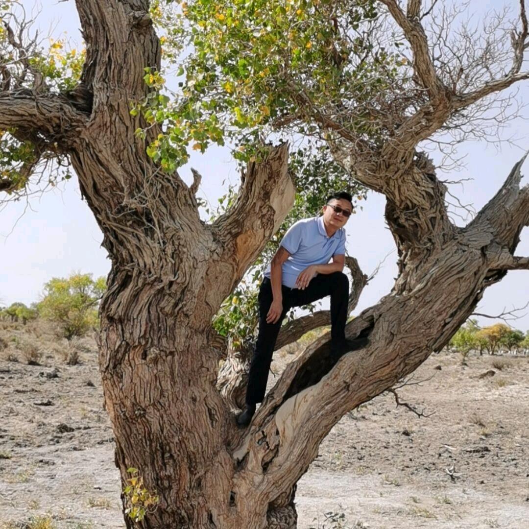 工程机械设备进出口贸易 翟永虎