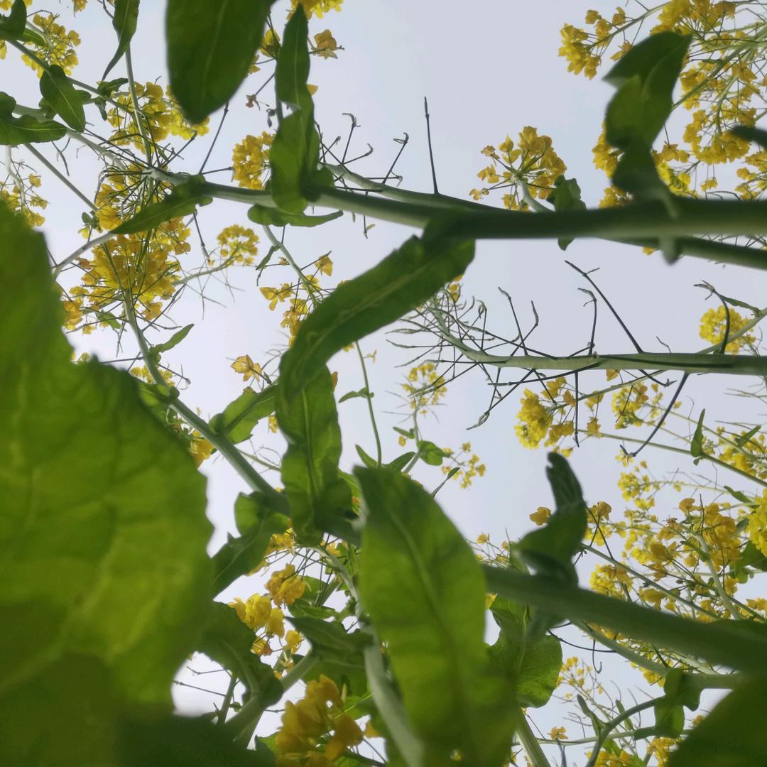 善良换不来真心