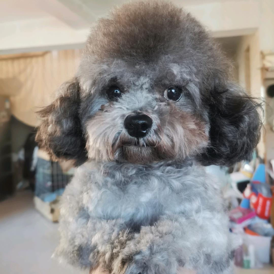 ঞ🍒好运꧔ꦿ᭄爆张