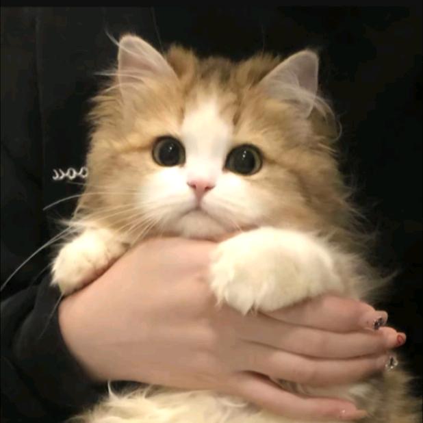 床上观风云