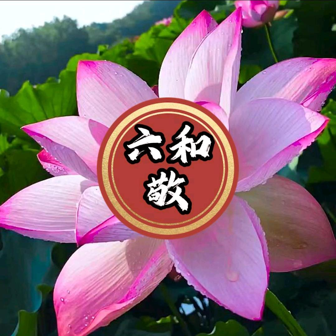禅溪文化