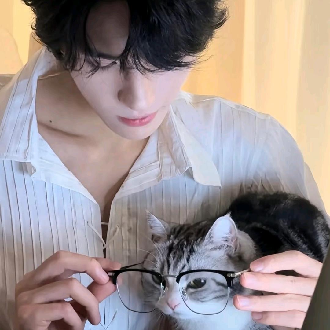 ᝰꫛ赶路人ಇ᭄