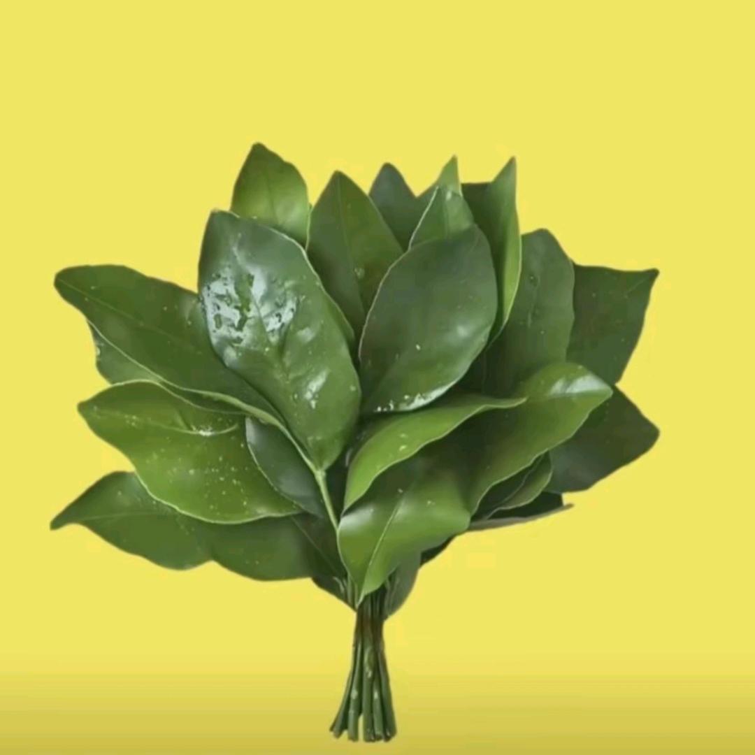 @穆，（穆如清風）