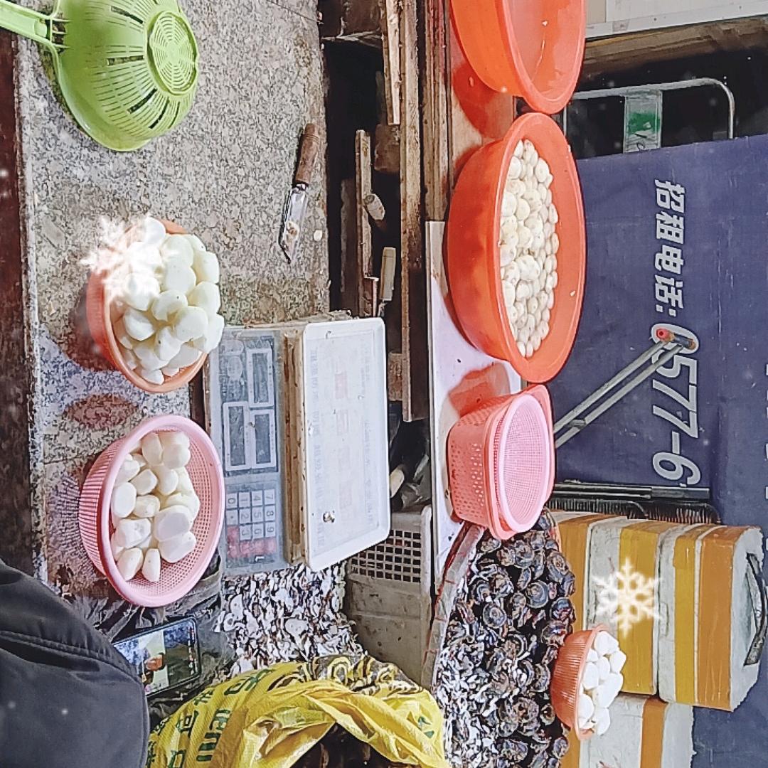 出售芋头马蹄，