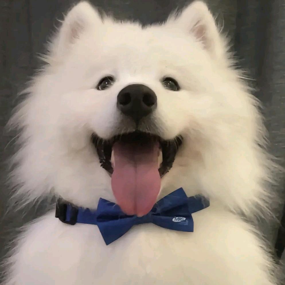 晨~