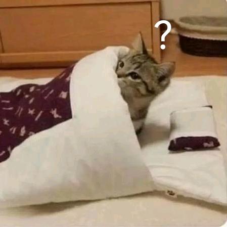 正在加载中……