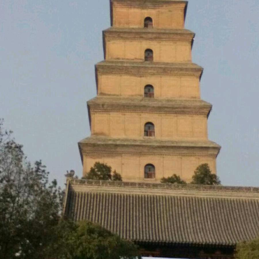 开心果阿龙