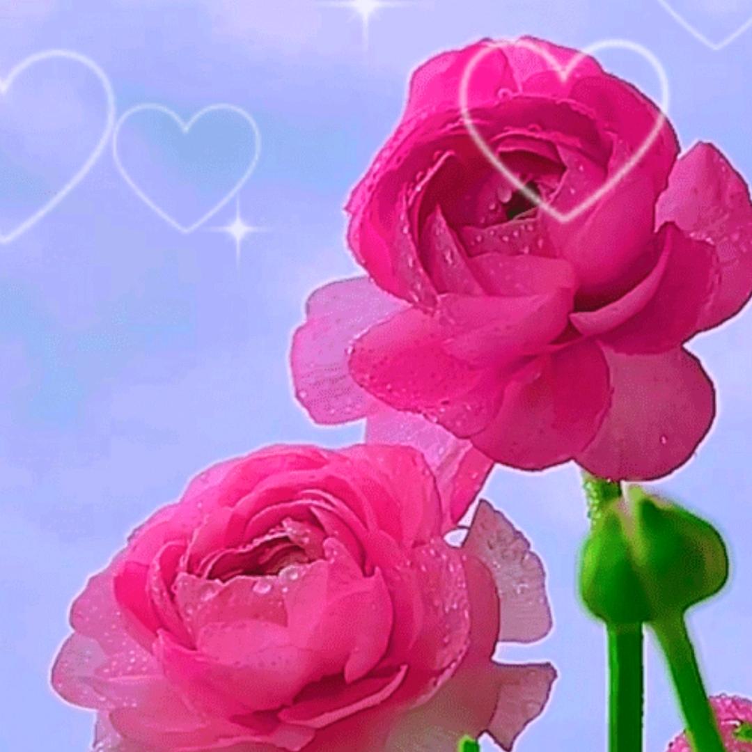 🌸嗨起来🌸纯属娱乐，拒绝私聊