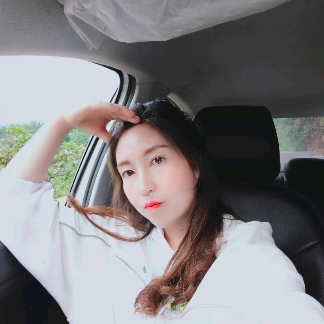 迷彩猪