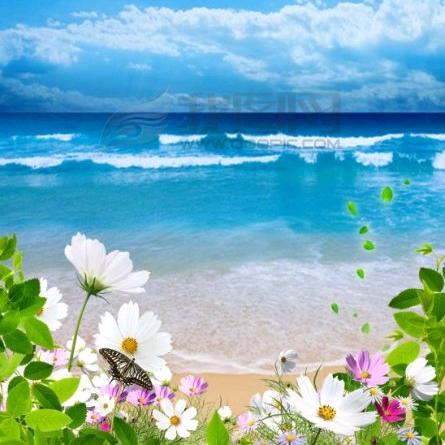 面向大海春暖花开