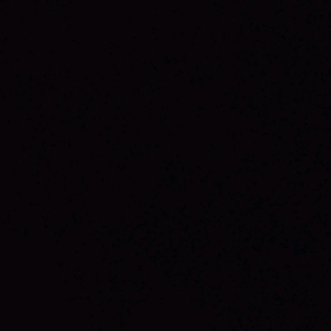 没❤️没肺的兔子