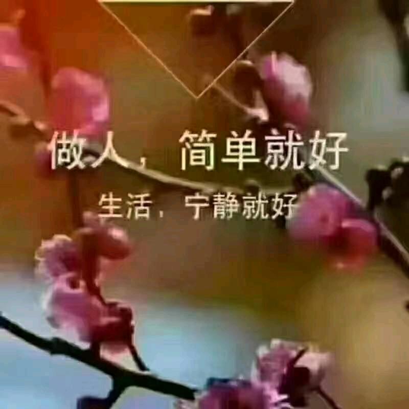 🌹忘掉烦恼🌷
