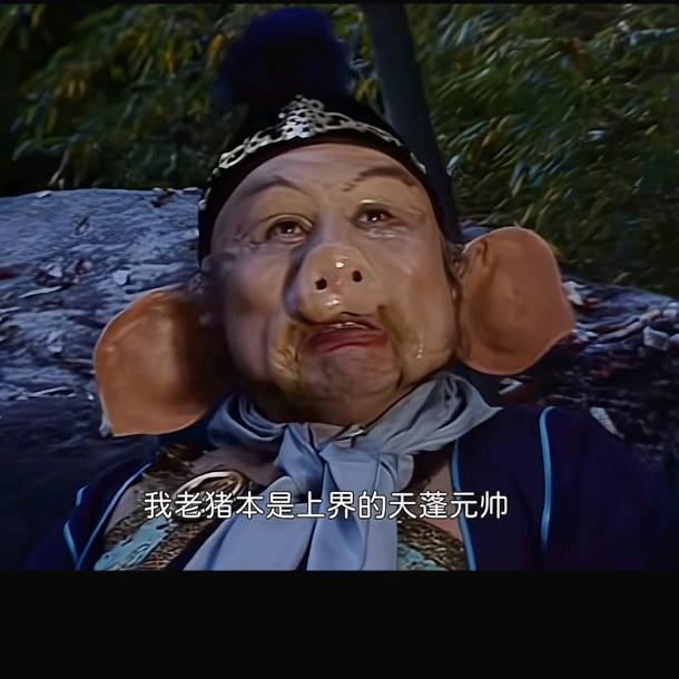 道友 请留步