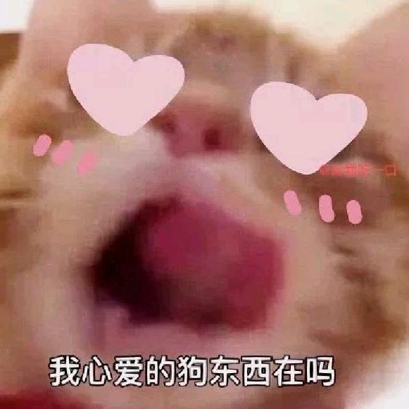 鱼GX