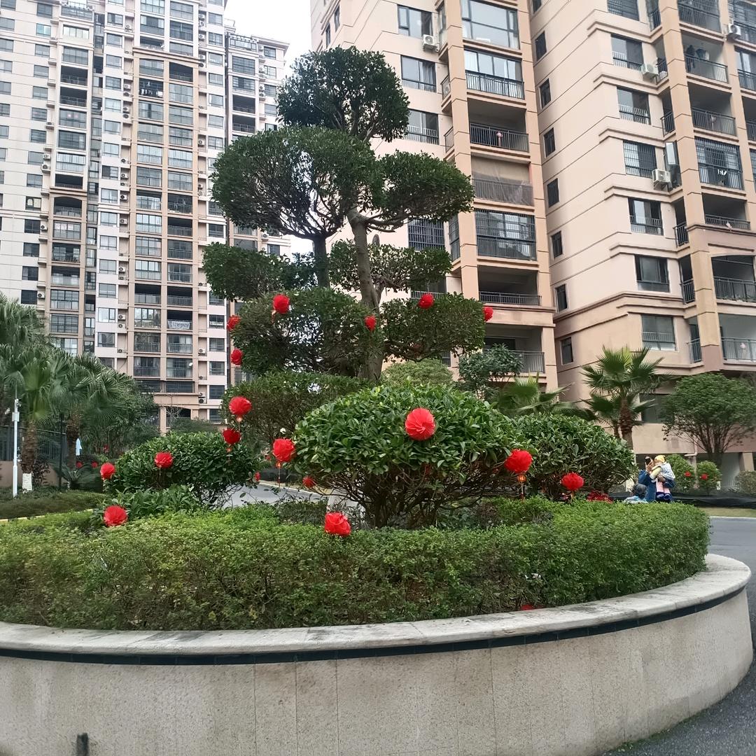 东山再起