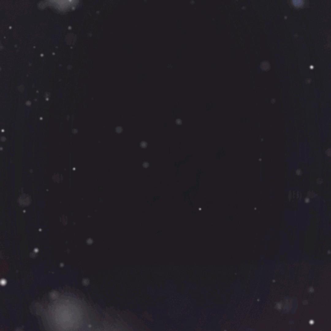 雪王