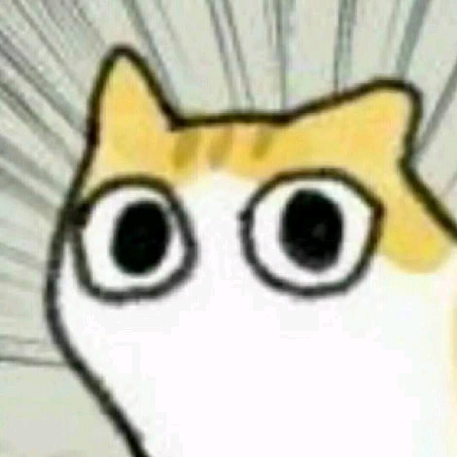 小朋友6666