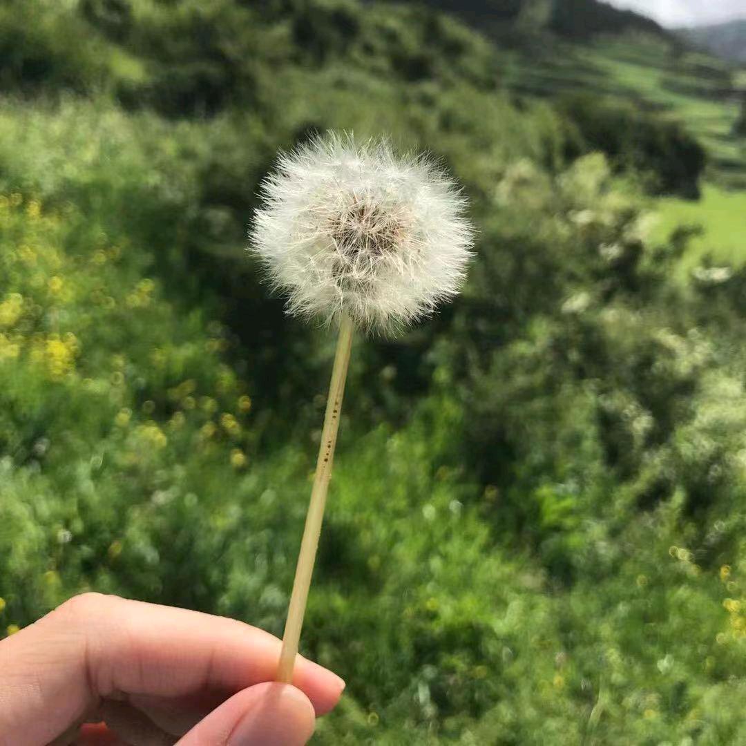 @昵称🍁