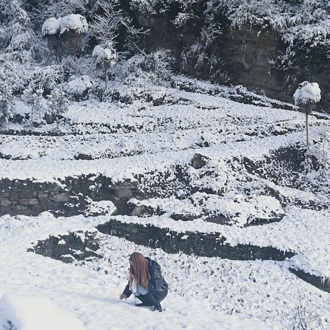 雪518
