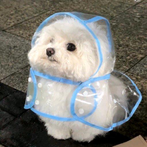 旺旺雪饼小李包