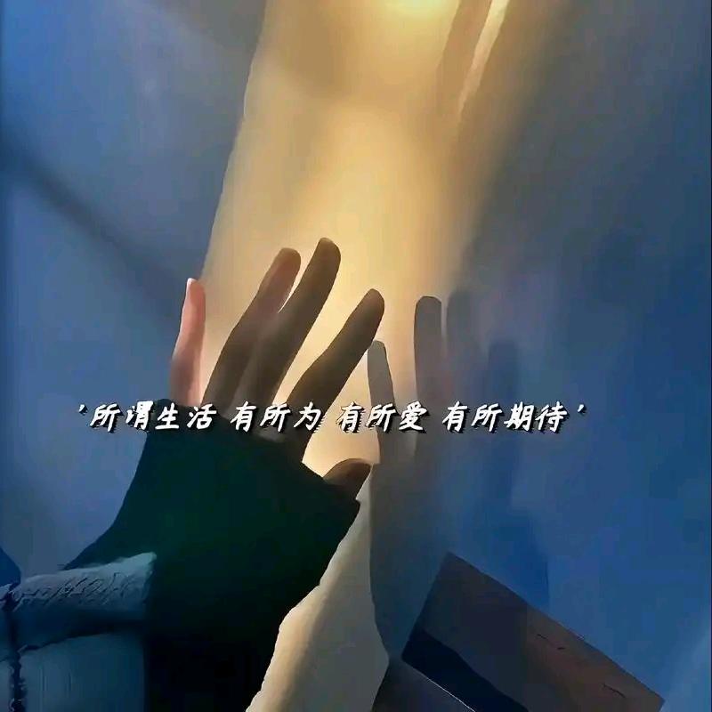 丫丫鸭