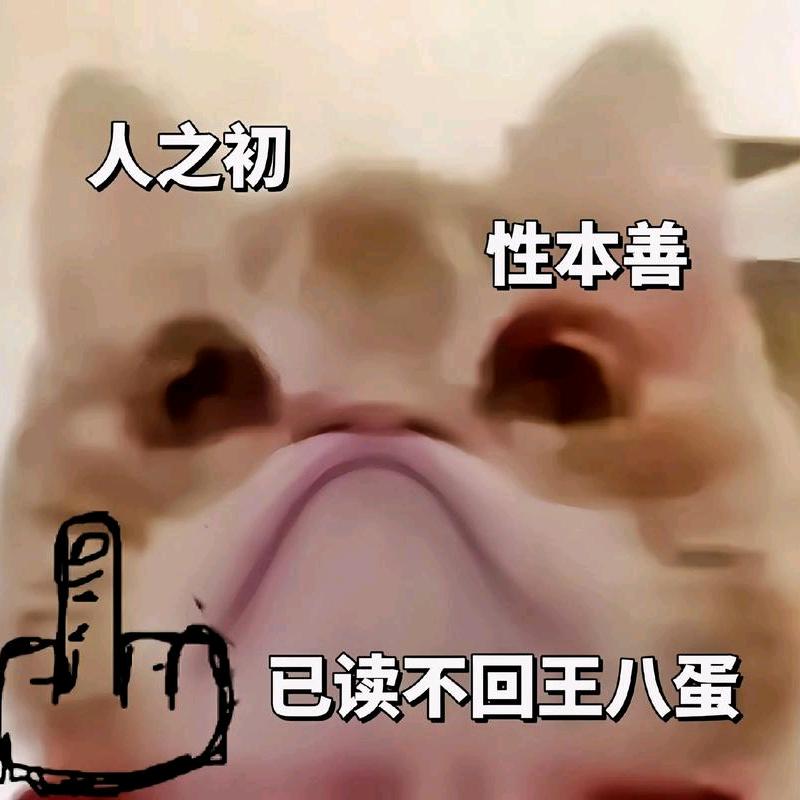 已读乱回