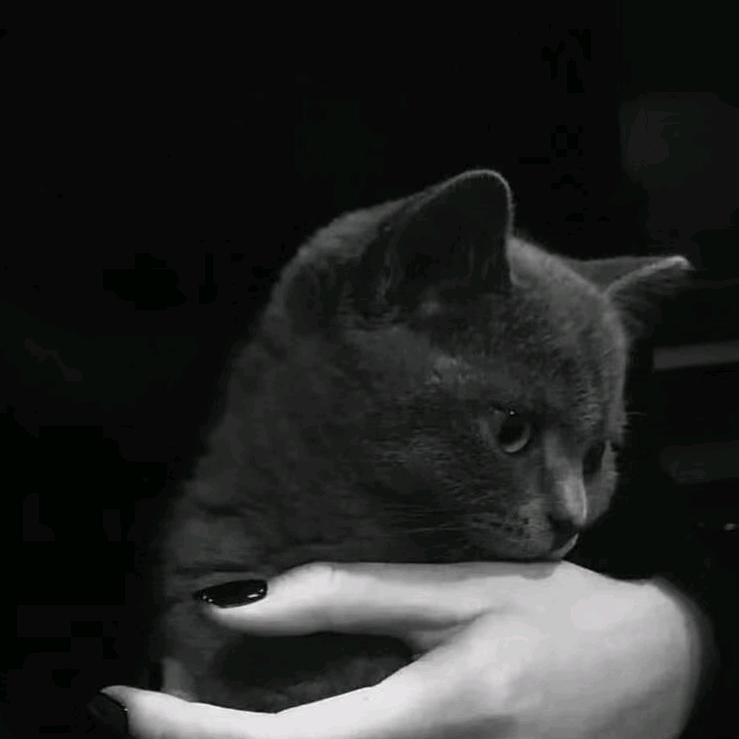 🧸小青呀