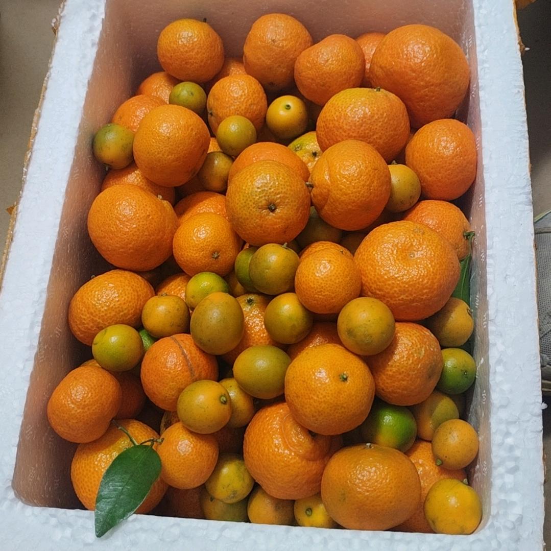 玫瑰花
