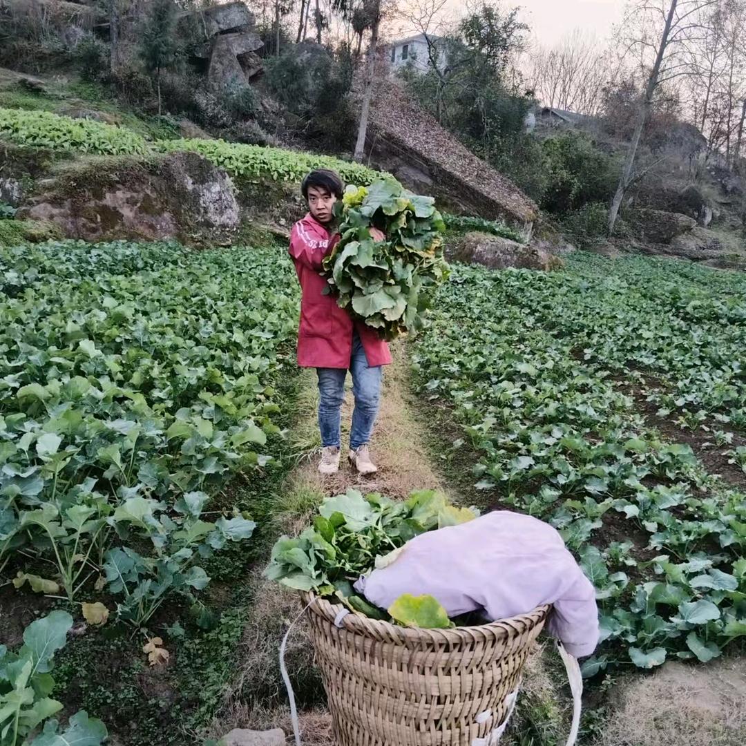 兴牧生态家庭农场