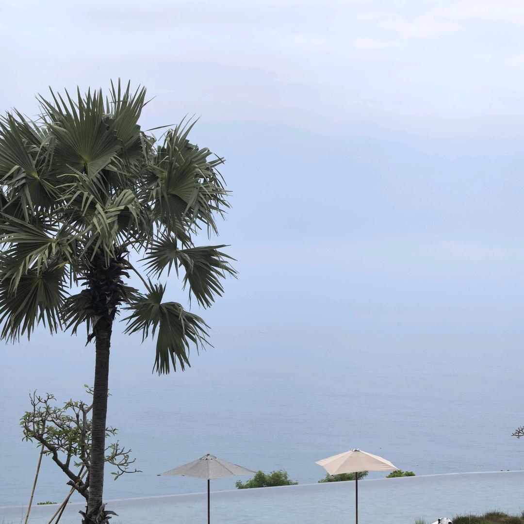 我家豆豆真可爱