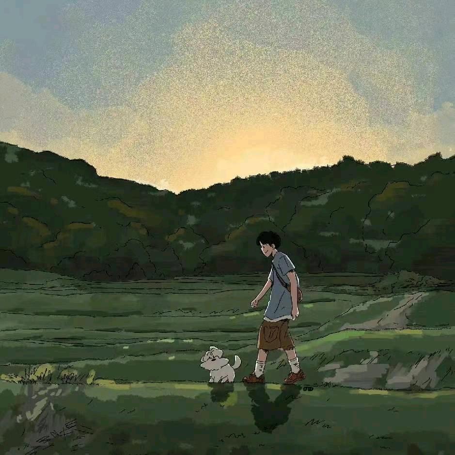 回收君